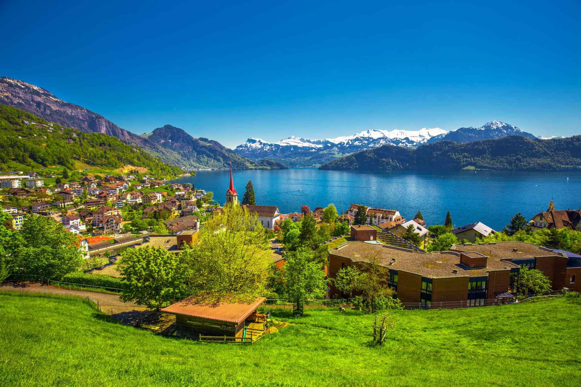 Swiss Alps